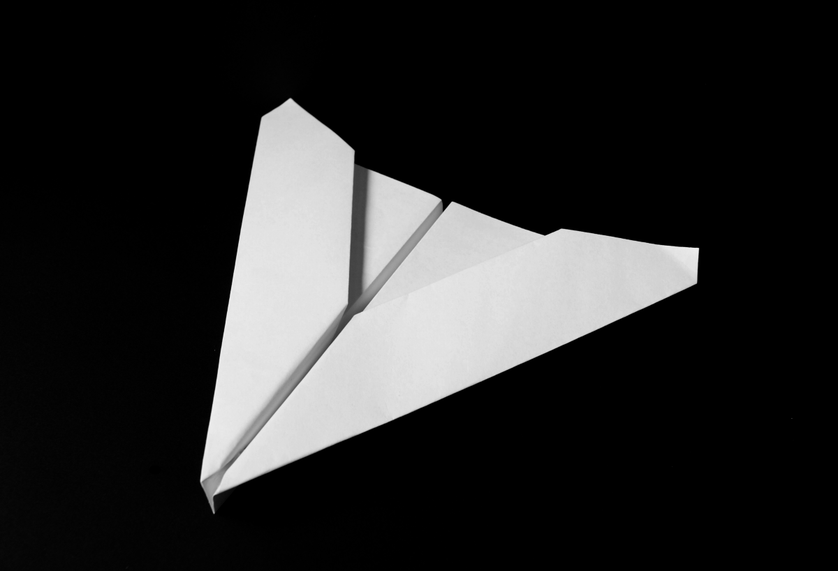 DELTA WING - PAPER PLANE DEPOT